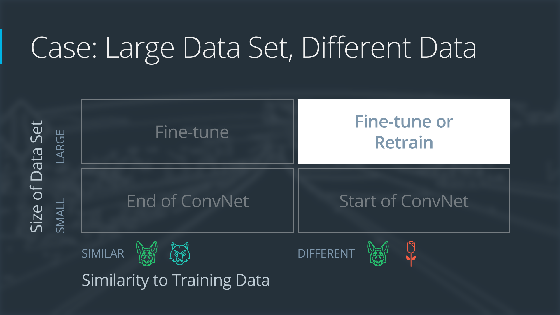 Case 4: Large Data Set, Different Data